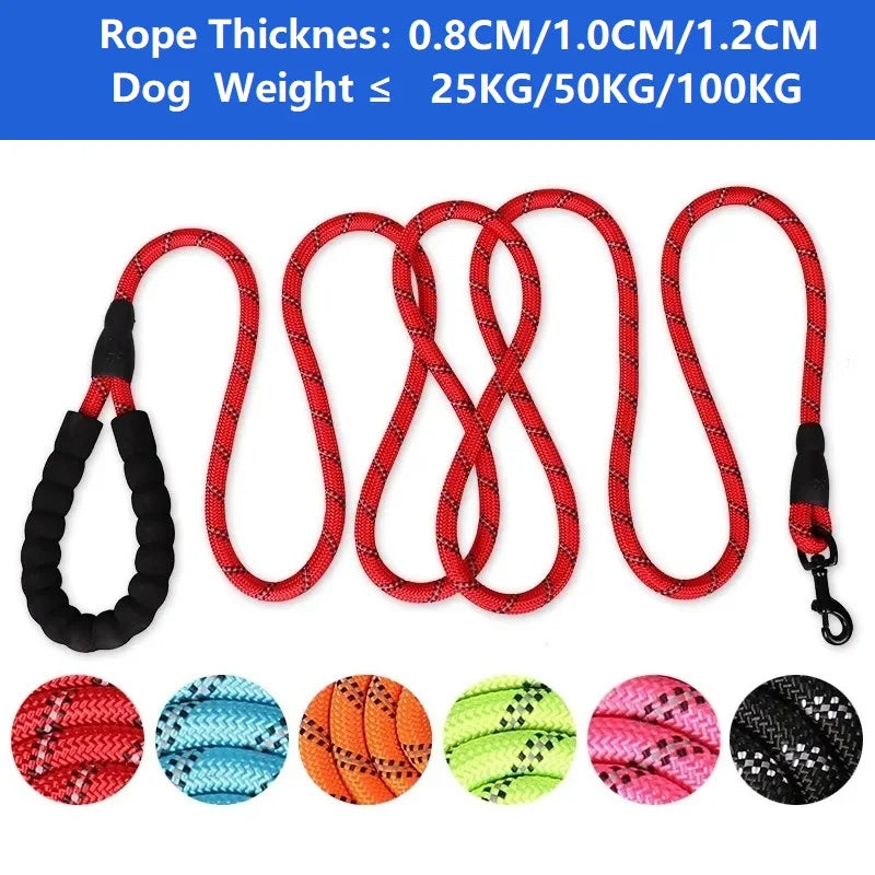 Reinforced Dog Leashes