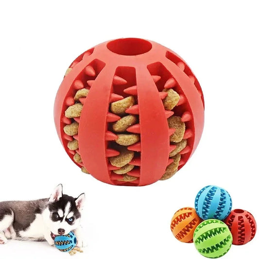 Interactive Dog Ball Toy