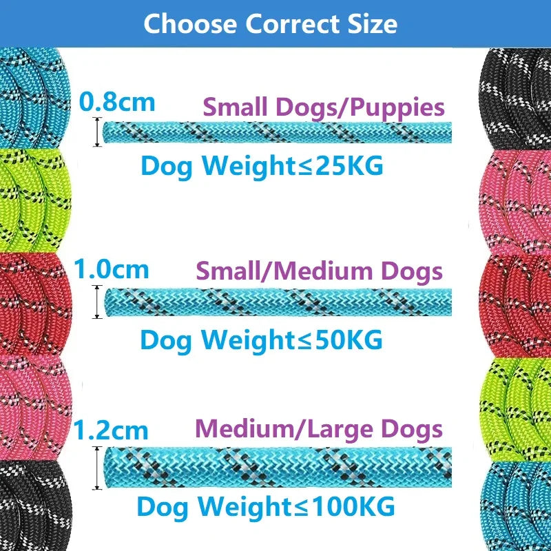 Reinforced Dog Leashes