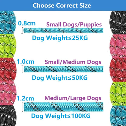 Reinforced Dog Leashes