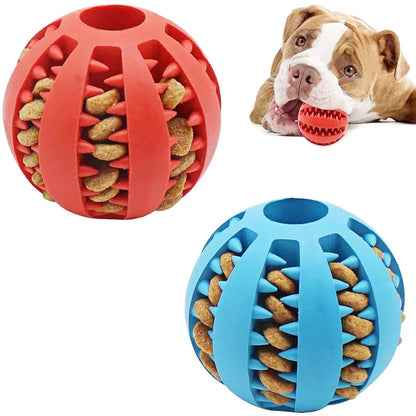 Interactive Dog Ball Toy