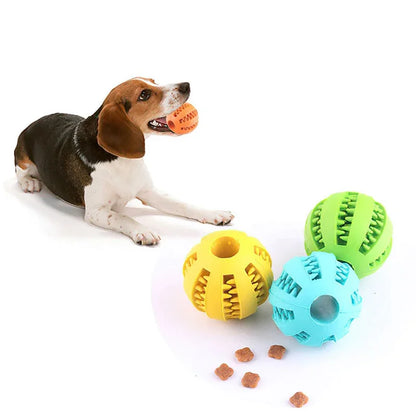 Interactive Dog Ball Toy