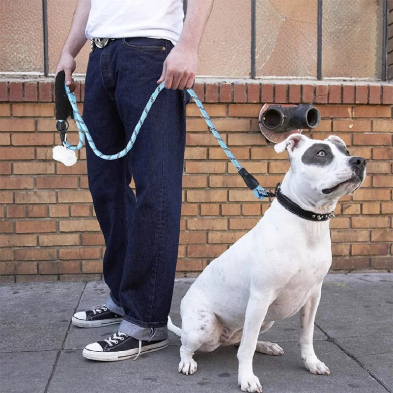 Reinforced Dog Leashes